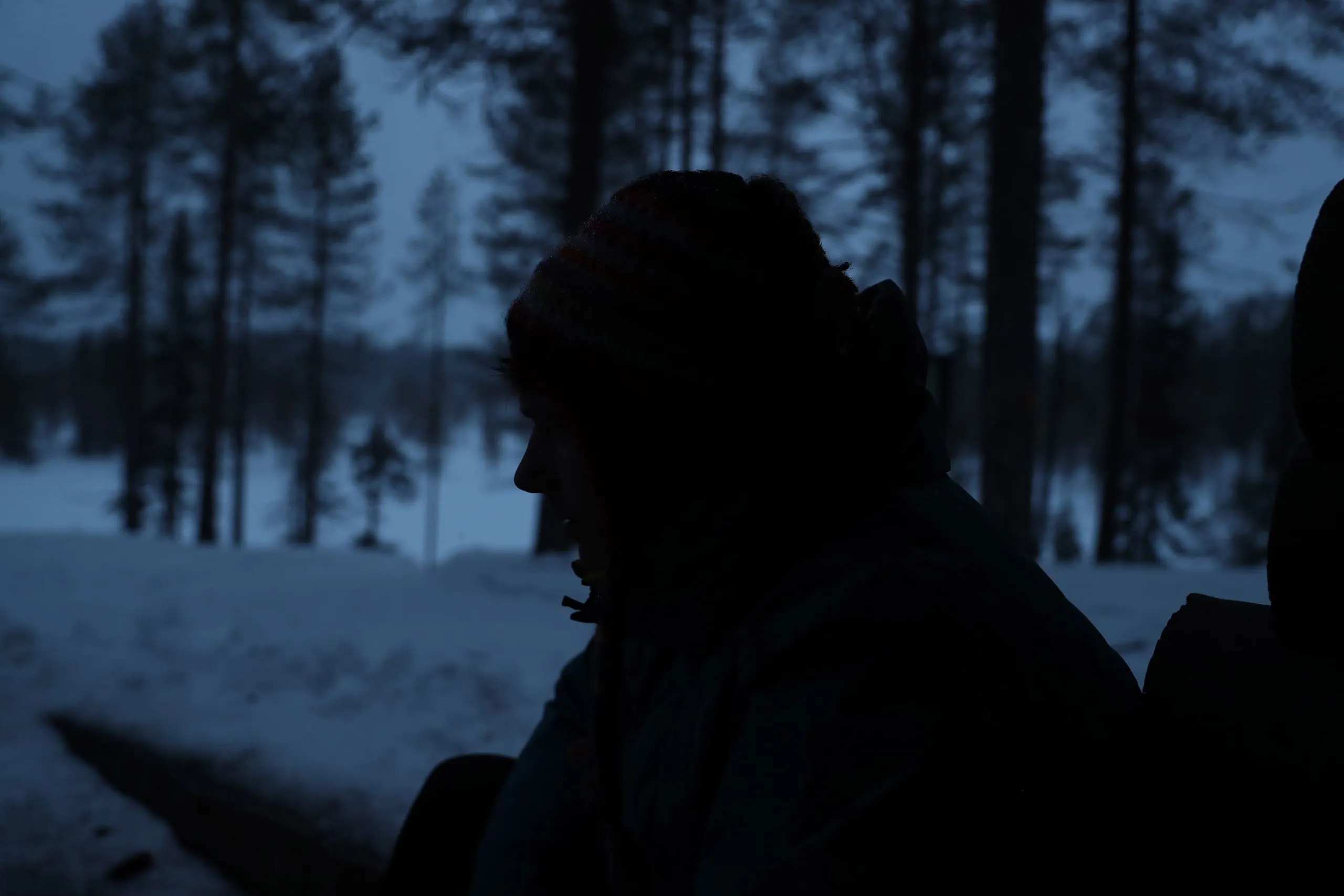 Donker silhouet van iemand tussen boomstammen, met blauw winterlicht op de achtergrond.